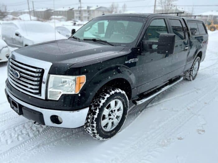 Ford F-150 XLT - Image 3