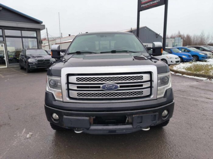 Ford F-150 Platine - Image 3